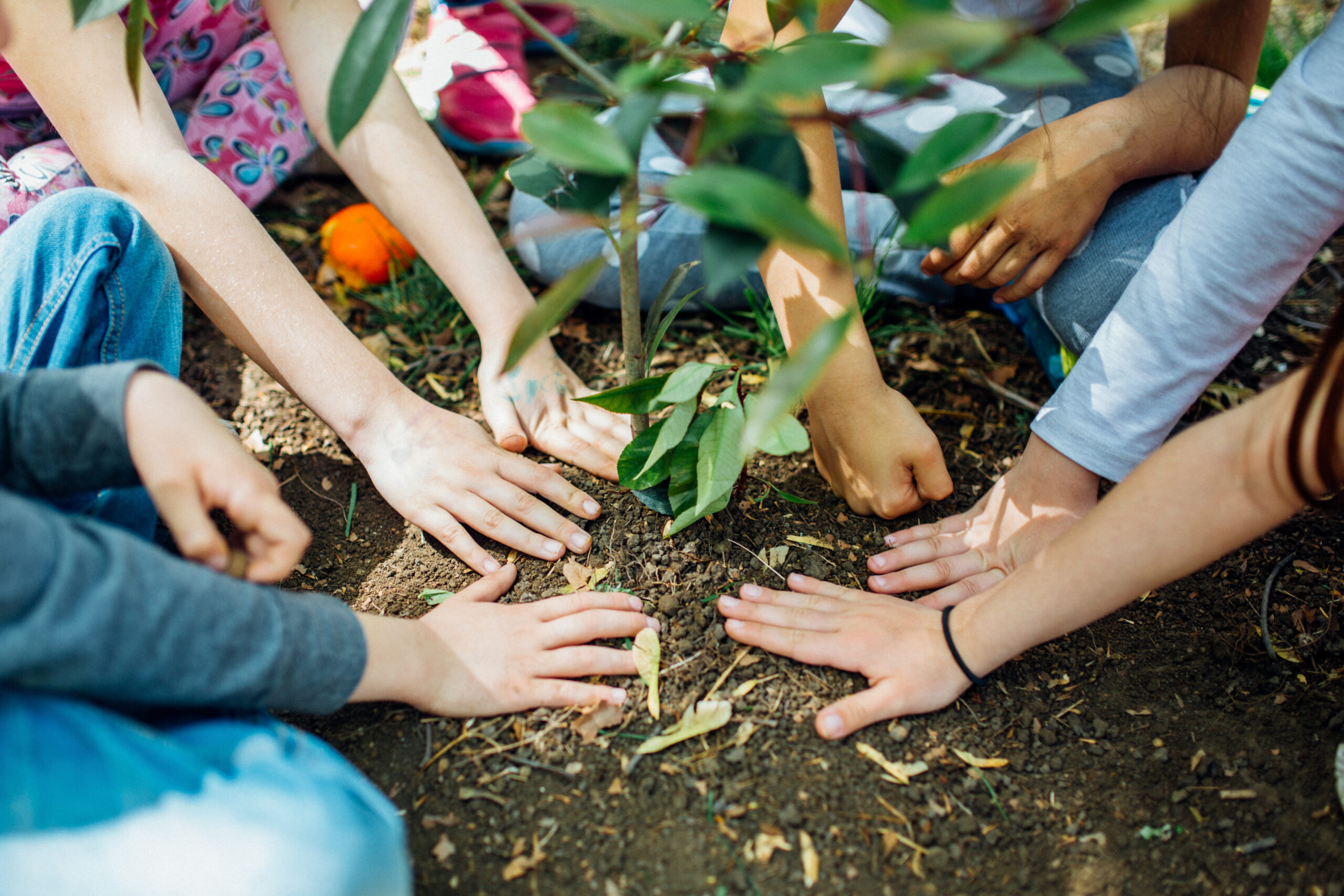 Earth Day, hands planting in garden